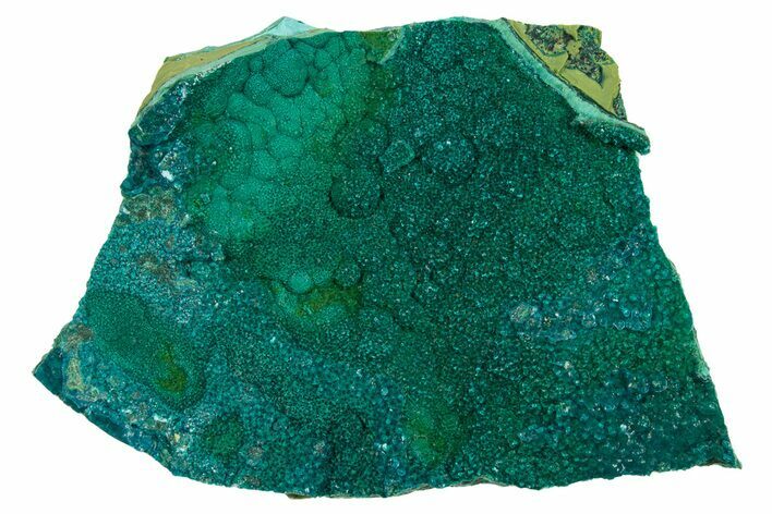 Teal Botryoidal Chrysocolla and Malachite - Chile #310126